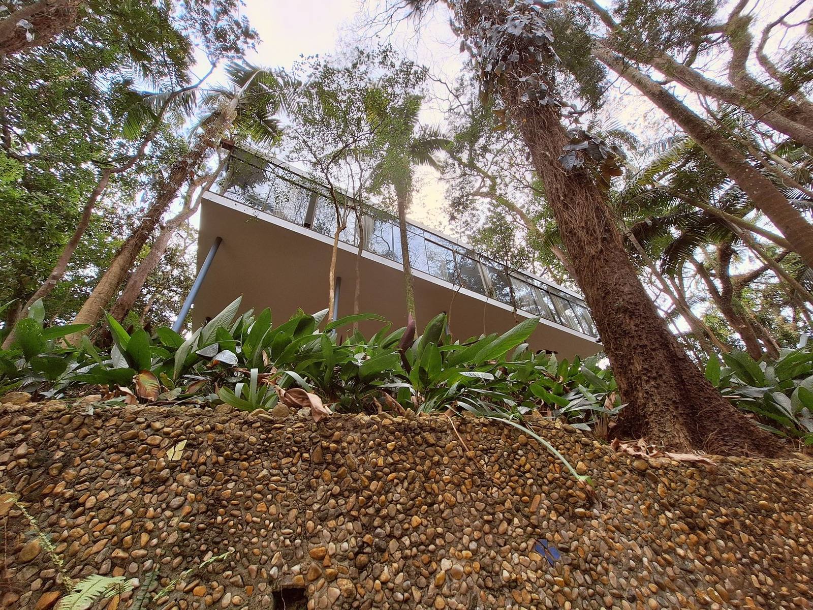 Casa de Vidro, Sao Paulo, the glass enclosed living level seen from below through the Morumbi garden