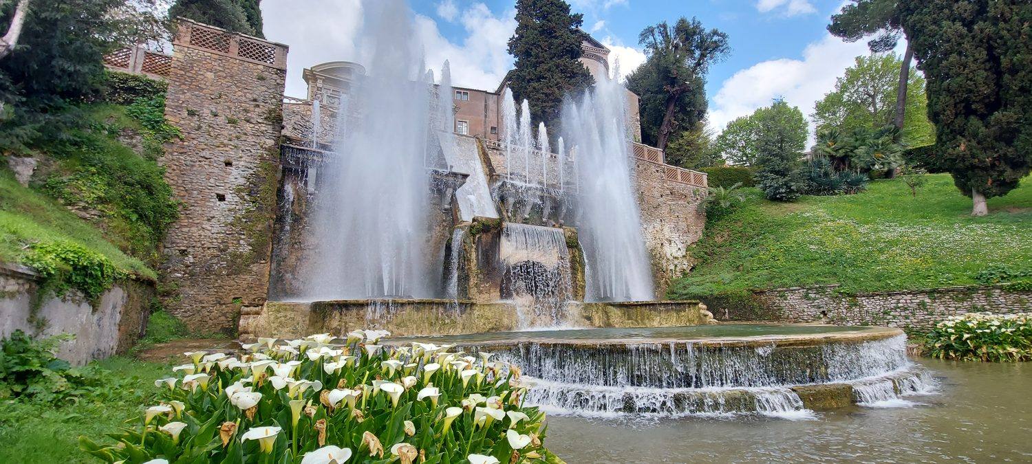The water organ fountain at Villa d'Este in Tivoli, jets playing over the stonework above a bed of white calla lilies.