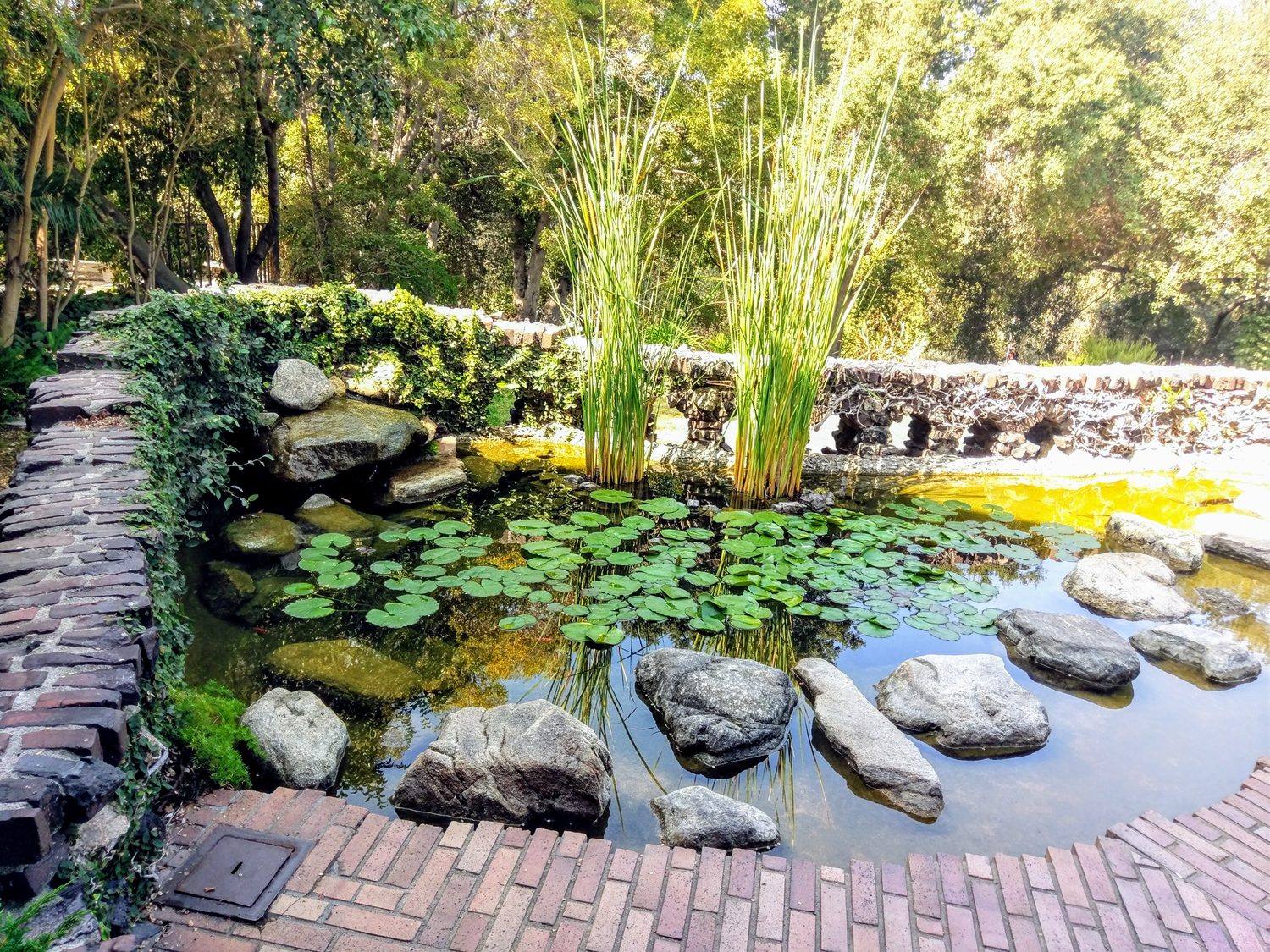 The garden pond in the back yard of the Gamble House, Pasadena