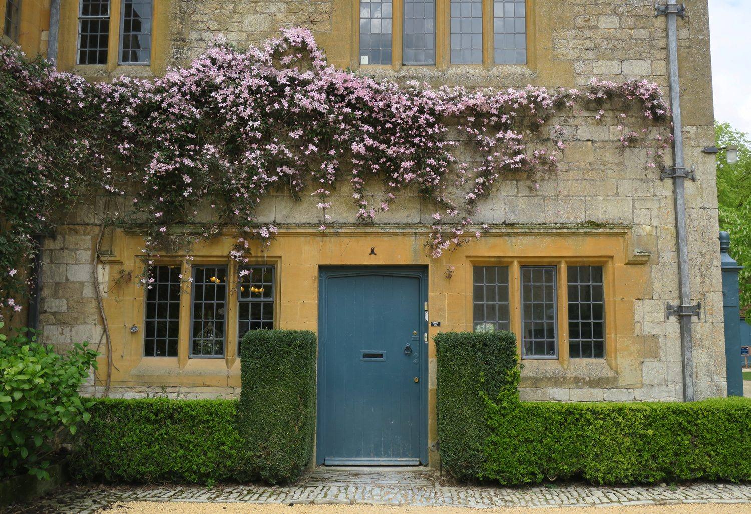 Hidcote Manor house facade with climbing pink flowers and clipped hedges