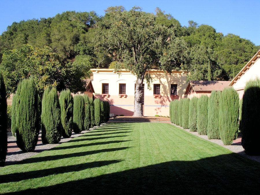 Clos Pegase Winery, Calistoga, the cypress lined allée leading to the ochre winery building