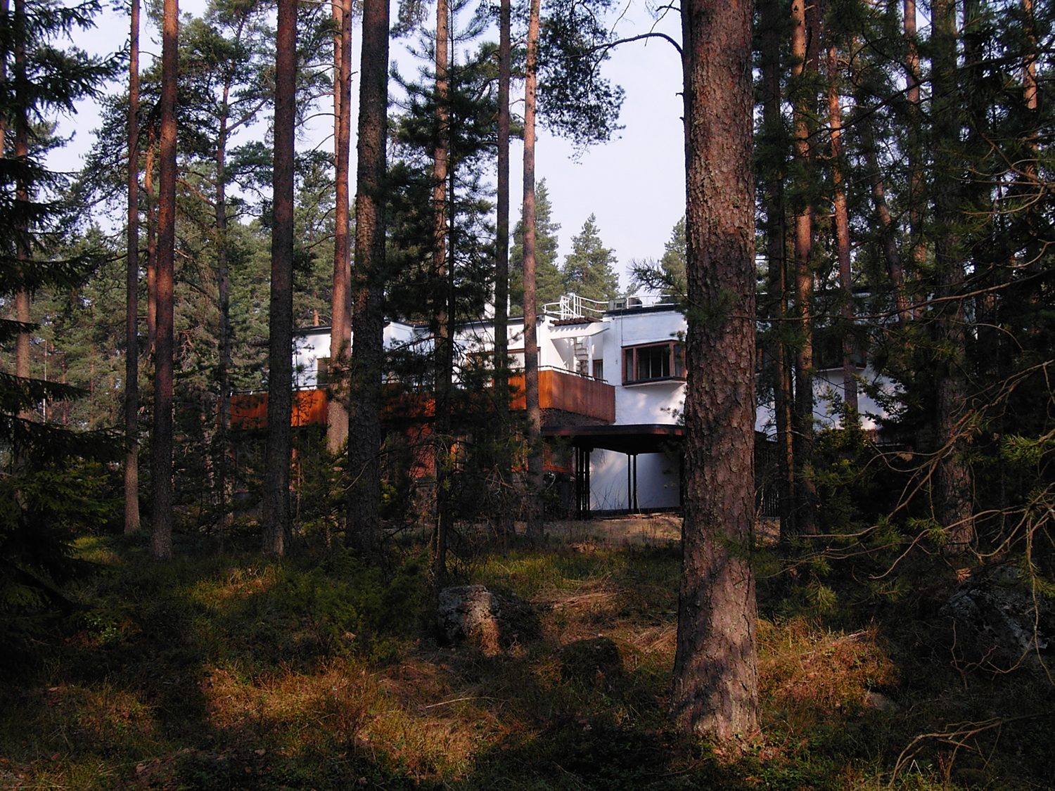 Villa Mairea seen through the surrounding birch trees